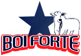 Logo Sal Boi Forte